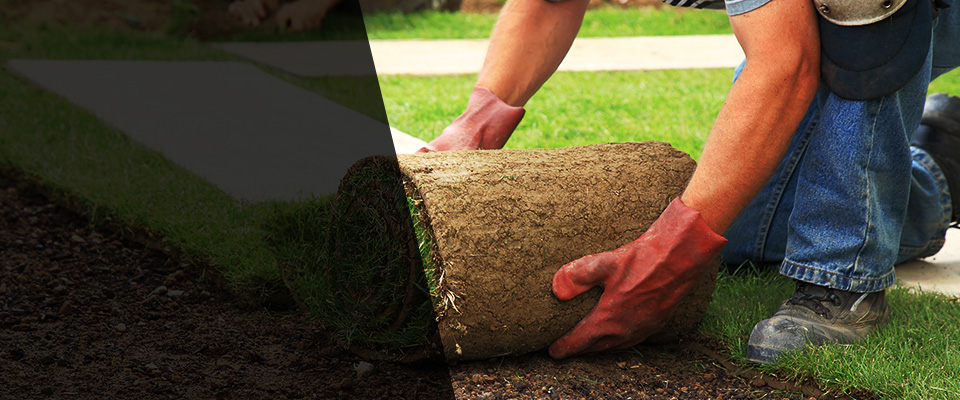 Owings Mills Landscapers